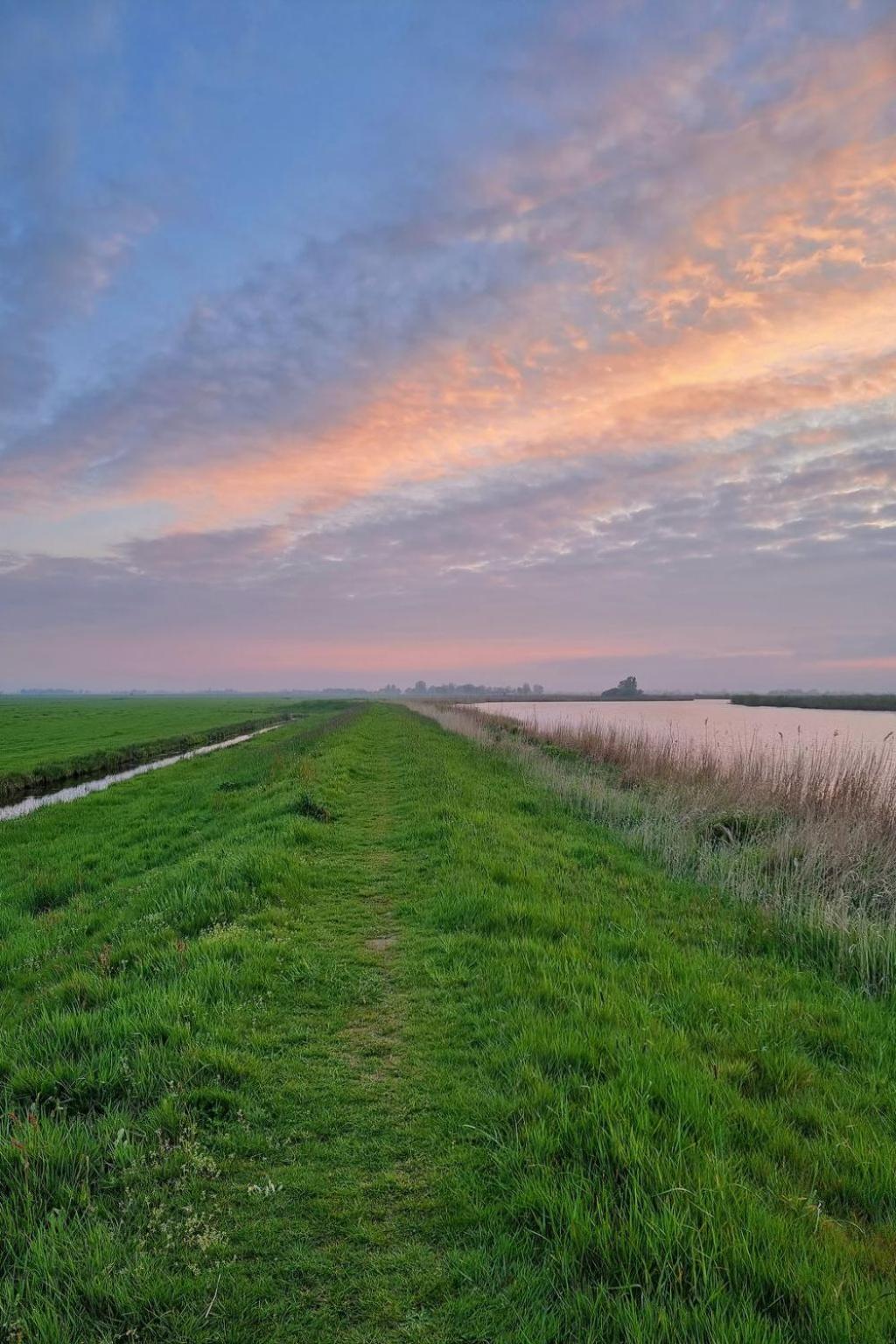 Holiday Home Natuurlijk De Veenhoop By Interhome Eksteriør billede